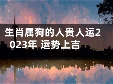 生肖属狗的人贵人运2023年 运势上吉