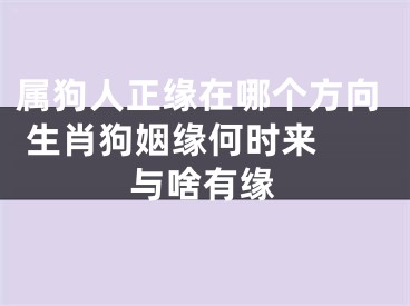 属狗人正缘在哪个方向 生肖狗姻缘何时来 与啥有缘