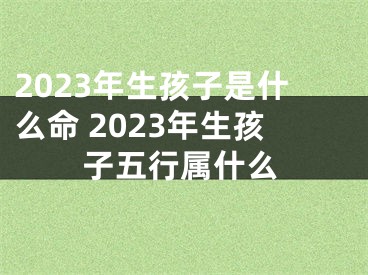 2023年生孩子是什么命 2023年生孩子五行属什么
