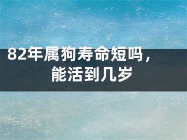 82年属狗寿命短吗，能活到几岁