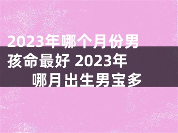 2023年哪个月份男孩命最好 2023年哪月出生男宝多