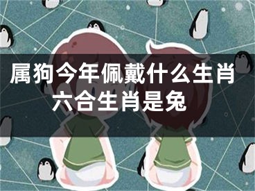 属狗今年佩戴什么生肖 六合生肖是兔