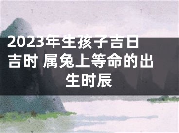 2023年生孩子吉日吉时 属兔上等命的出生时辰
