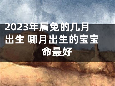 2023年属兔的几月出生 哪月出生的宝宝命最好