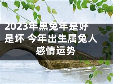 2023年黑兔年是好是坏 今年出生属兔人感情运势