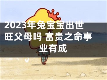 2023年兔宝宝出世旺父母吗 富贵之命事业有成