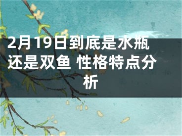 2月19日到底是水瓶还是双鱼 性格特点分析