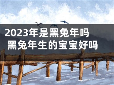 2023年是黑兔年吗 黑兔年生的宝宝好吗