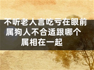 不听老人言吃亏在眼前 属狗人不合适跟哪个属相在一起 
