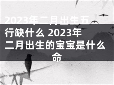 2023年二月出生五行缺什么 2023年二月出生的宝宝是什么命