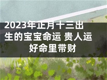 2023年正月十三出生的宝宝命运 贵人运好命里带财