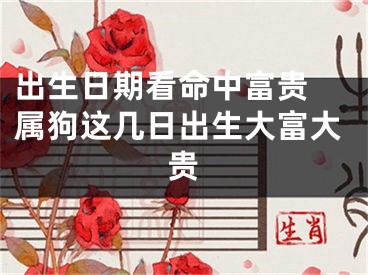 出生日期看命中富贵 属狗这几日出生大富大贵