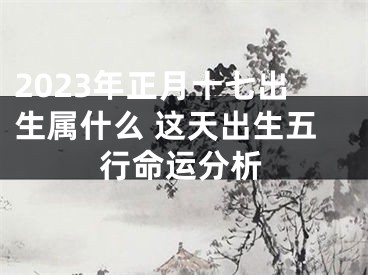 2023年正月十七出生属什么 这天出生五行命运分析