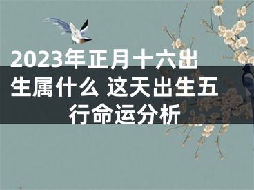 2023年正月十六出生属什么 这天出生五行命运分析