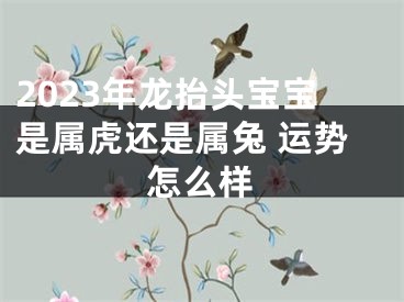 2023年龙抬头宝宝是属虎还是属兔 运势怎么样