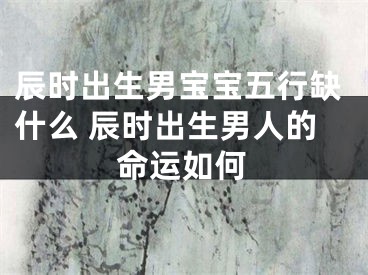辰时出生男宝宝五行缺什么 辰时出生男人的命运如何