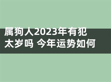 属狗人2023年有犯太岁吗 今年运势如何