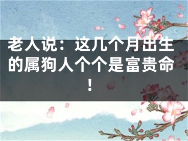 老人说：这几个月出生的属狗人个个是富贵命！
