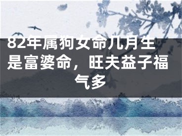 82年属狗女命几月生是富婆命，旺夫益子福气多