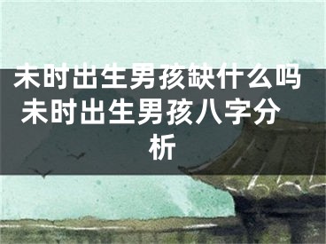 未时出生男孩缺什么吗 未时出生男孩八字分析