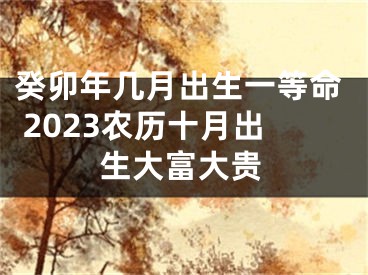 癸卯年几月出生一等命 2023农历十月出生大富大贵