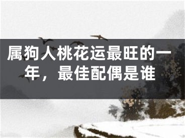 属狗人桃花运最旺的一年，最佳配偶是谁