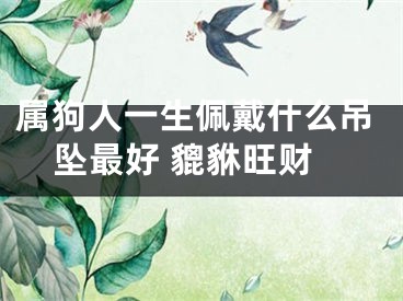 属狗人一生佩戴什么吊坠最好 貔貅旺财