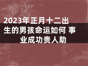 2023年正月十二出生的男孩命运如何 事业成功贵人助