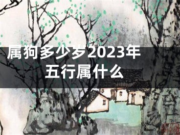 属狗多少岁2023年 五行属什么
