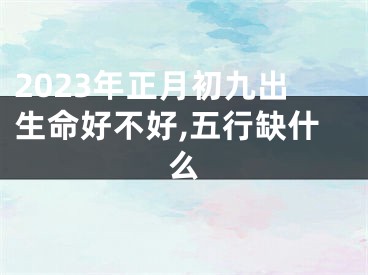 2023年正月初九出生命好不好,五行缺什么