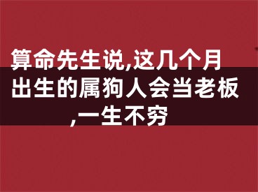 算命先生说,这几个月出生的属狗人会当老板,一生不穷