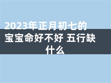 2023年正月初七的宝宝命好不好 五行缺什么