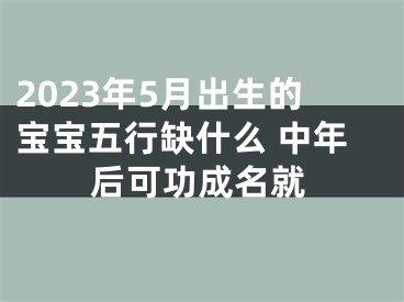 2023年5月出生的宝宝五行缺什么 中年后可功成名就