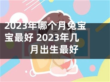 2023年哪个月兔宝宝最好 2023年几月出生最好