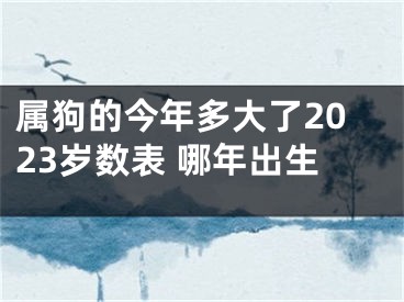 属狗的今年多大了2023岁数表 哪年出生