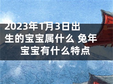 2023年1月3日出生的宝宝属什么 兔年宝宝有什么特点