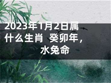 2023年1月2日属什么生肖  癸卯年，水兔命