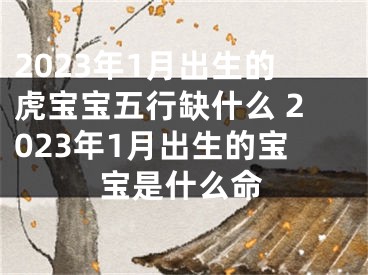 2023年1月出生的虎宝宝五行缺什么 2023年1月出生的宝宝是什么命