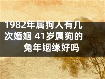 1982年属狗人有几次婚姻 41岁属狗的兔年姻缘好吗