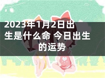 2023年1月2日出生是什么命 今日出生的运势
