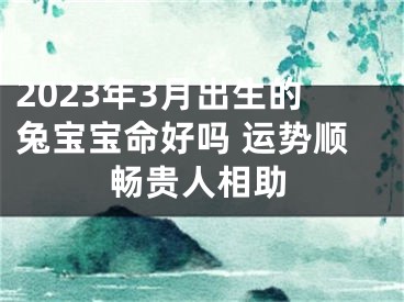 2023年3月出生的兔宝宝命好吗 运势顺畅贵人相助