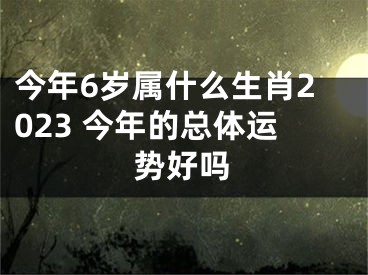 今年6岁属什么生肖2023 今年的总体运势好吗