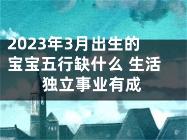 2023年3月出生的宝宝五行缺什么 生活独立事业有成
