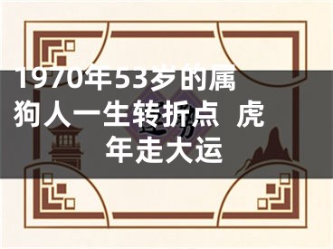 1970年53岁的属狗人一生转折点  虎年走大运