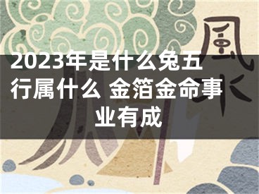 2023年是什么兔五行属什么 金箔金命事业有成