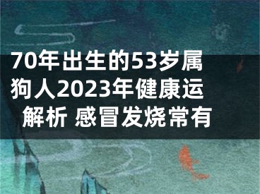 70年出生的53岁属狗人2023年健康运解析 感冒发烧常有