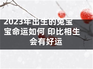 2023年出生的兔宝宝命运如何 印比相生会有好运