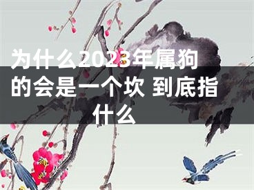 为什么2023年属狗的会是一个坎 到底指什么 