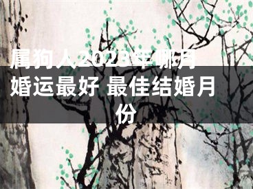 属狗人2023年哪月婚运最好 最佳结婚月份