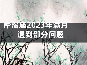 摩羯座2023年满月 遇到部分问题